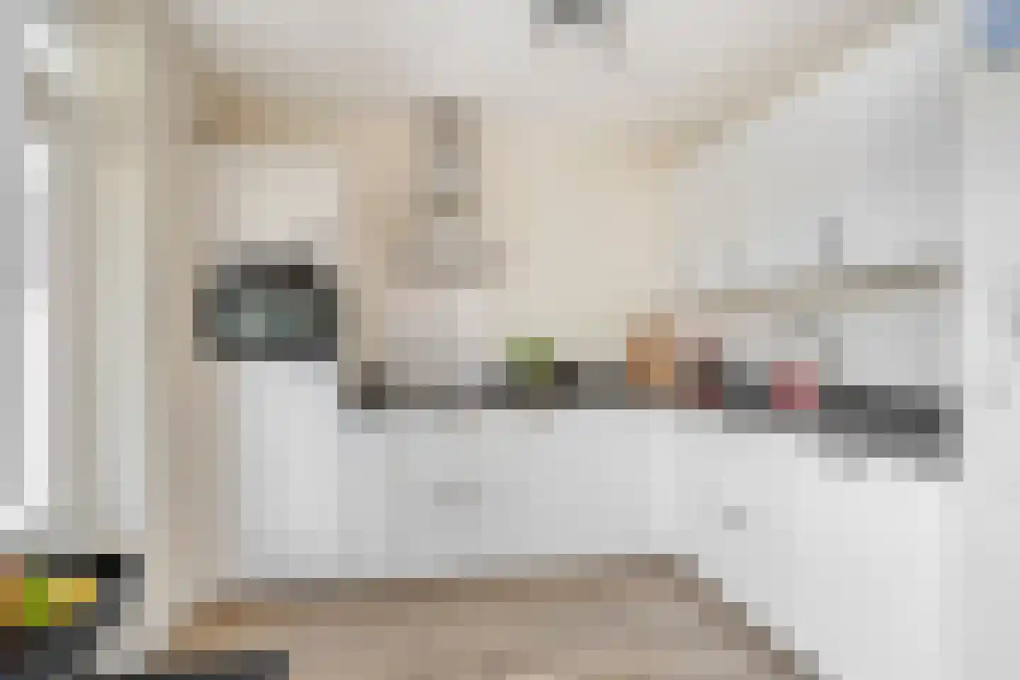Paapenhof 7 Heiloo thumbnail 11
