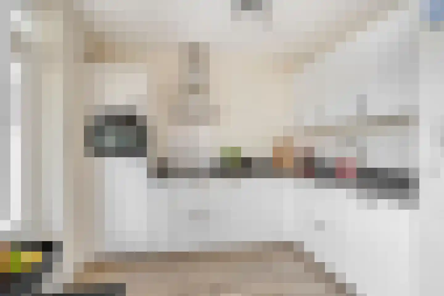 Paapenhof 7 Heiloo thumbnail 11