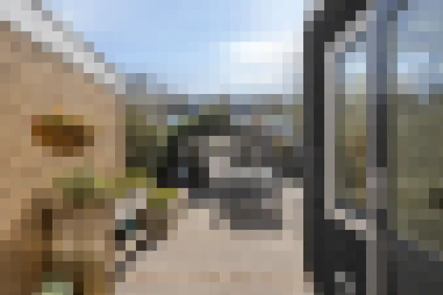 Paapenhof 7 Heiloo thumbnail 16