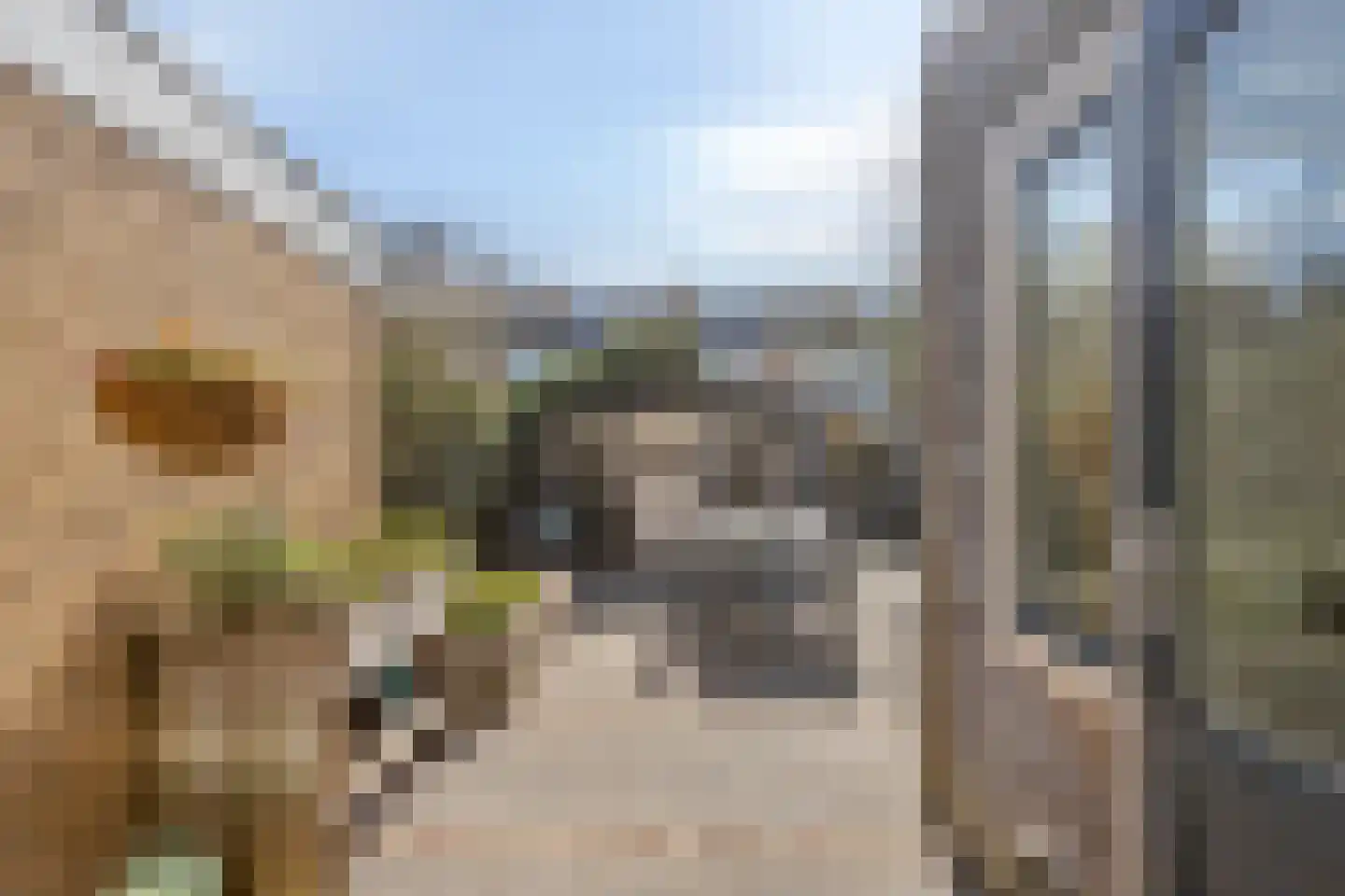 Paapenhof 7 Heiloo thumbnail 16