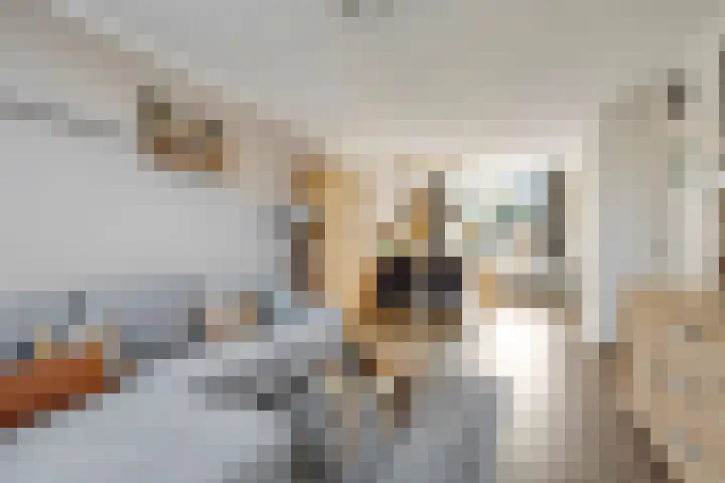 Paapenhof 7 Heiloo thumbnail 7