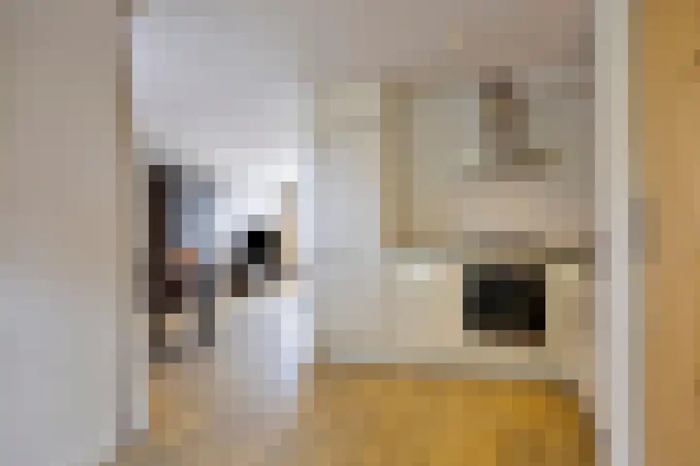 Paapje 4 Boxmeer thumbnail 15