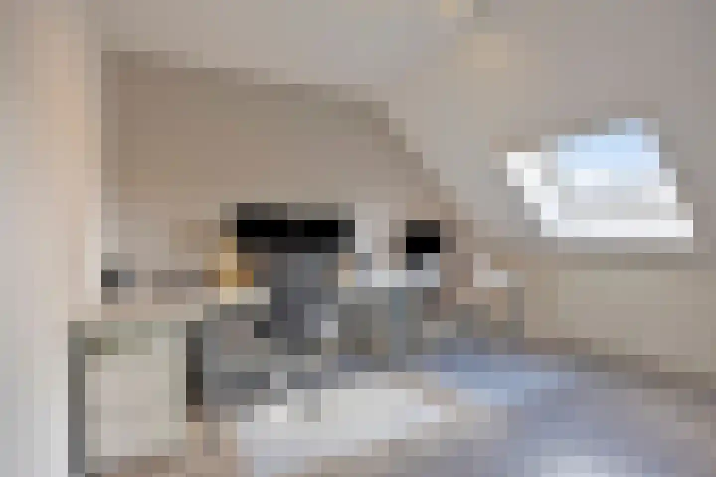 Paapje 4 Boxmeer thumbnail 22
