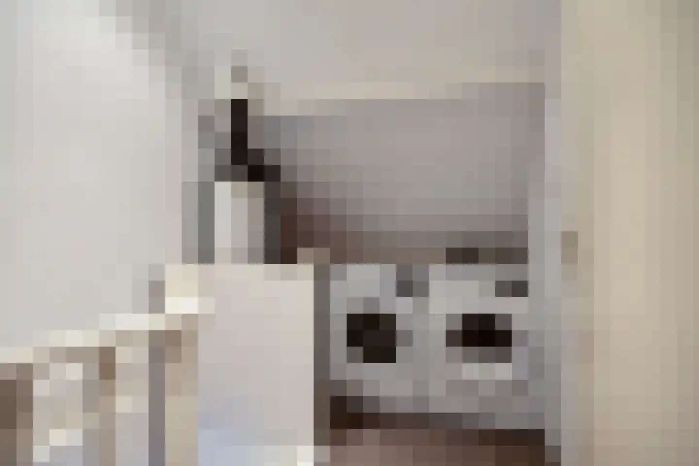 Paapje 4 Boxmeer thumbnail 25