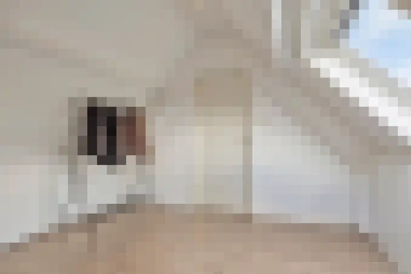 Paapje 4 Boxmeer thumbnail 27