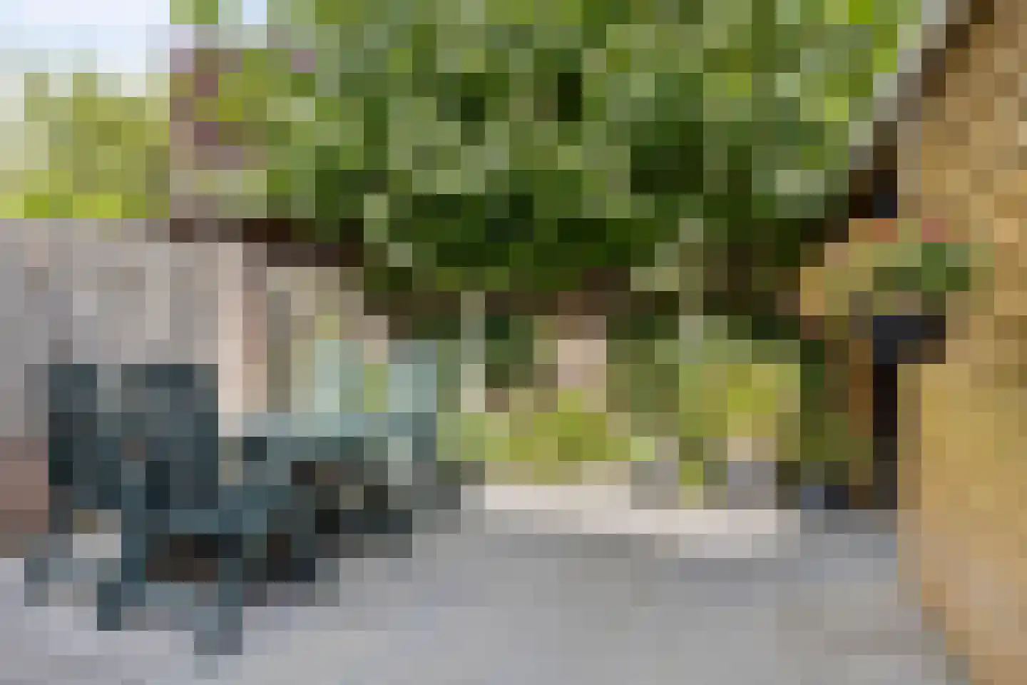 Paapje 4 Boxmeer thumbnail 28