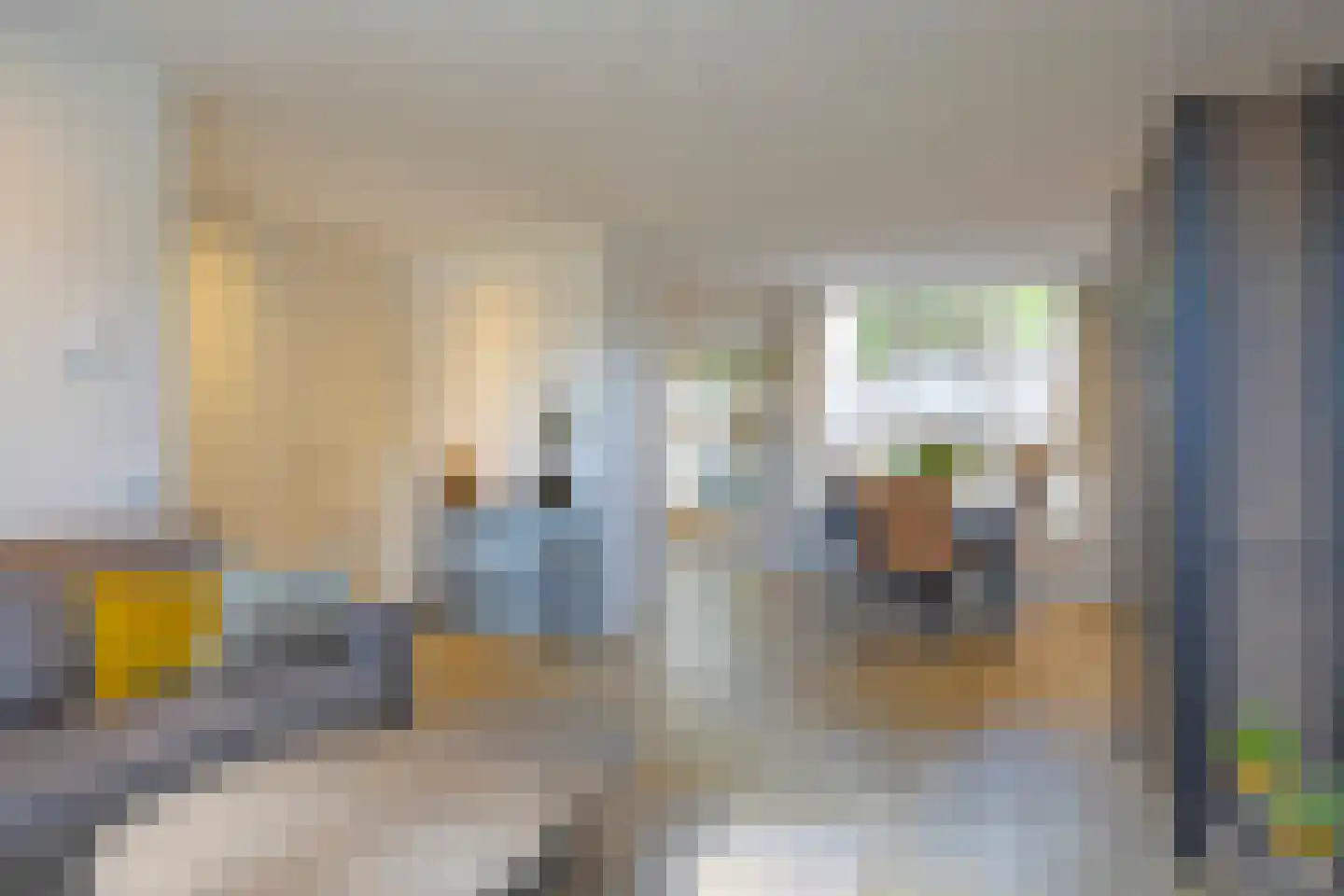 Paapje 4 Boxmeer thumbnail 9