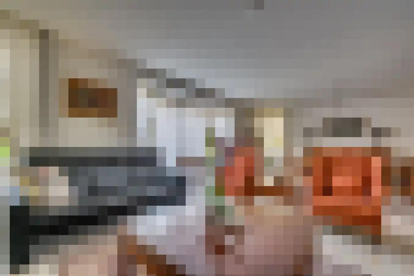 Paardebloem 1 Venlo thumbnail 13