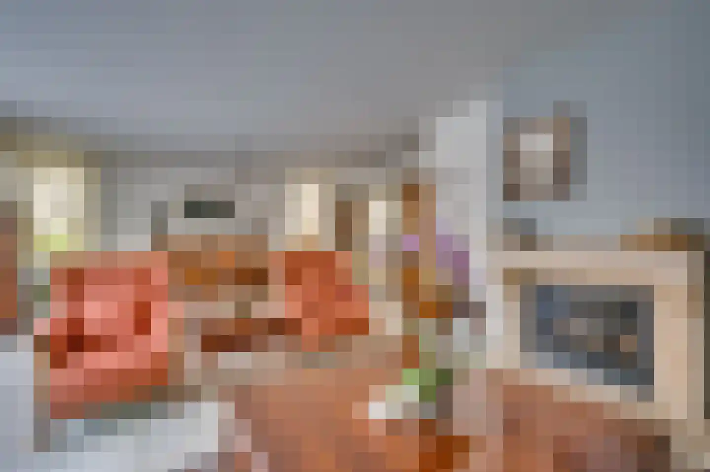 Paardebloem 1 Venlo thumbnail 14