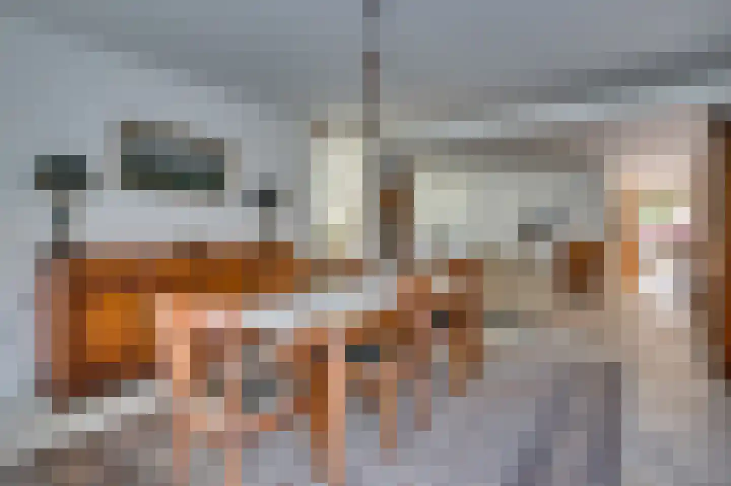 Paardebloem 1 Venlo thumbnail 15
