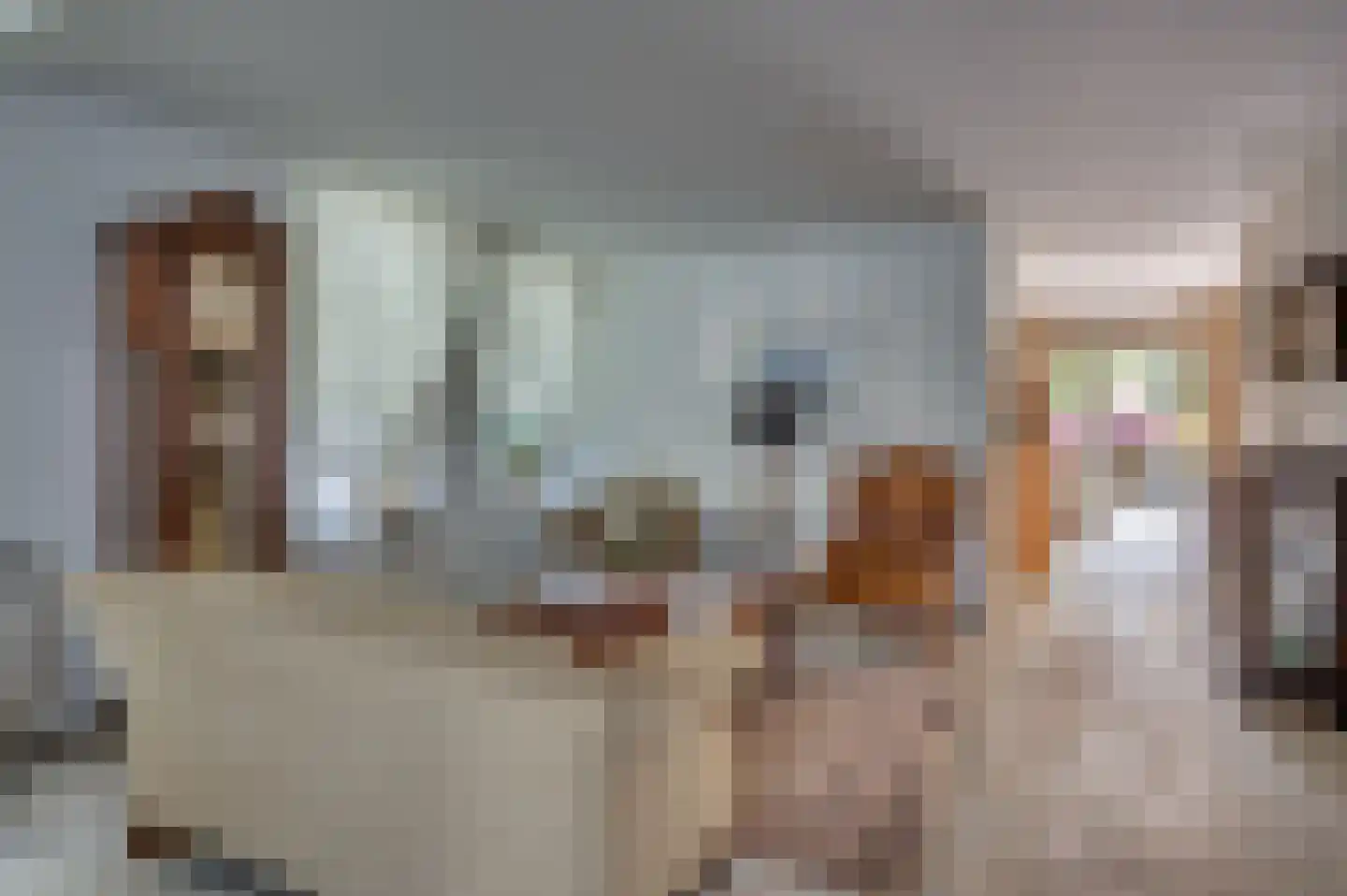 Paardebloem 1 Venlo thumbnail 17