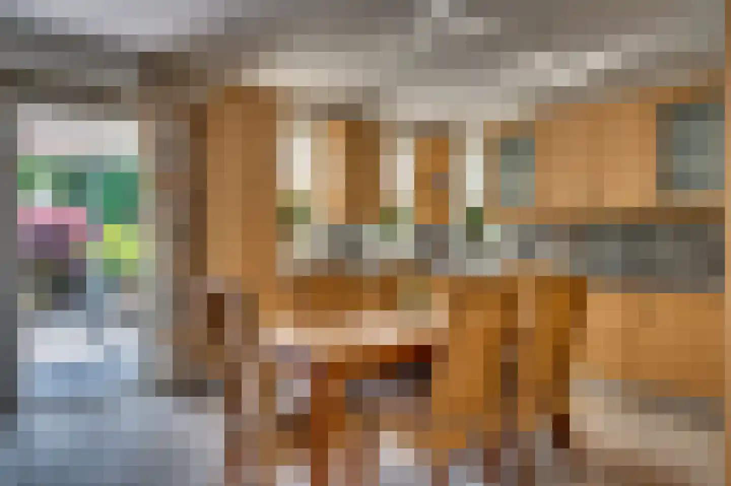 Paardebloem 1 Venlo thumbnail 18