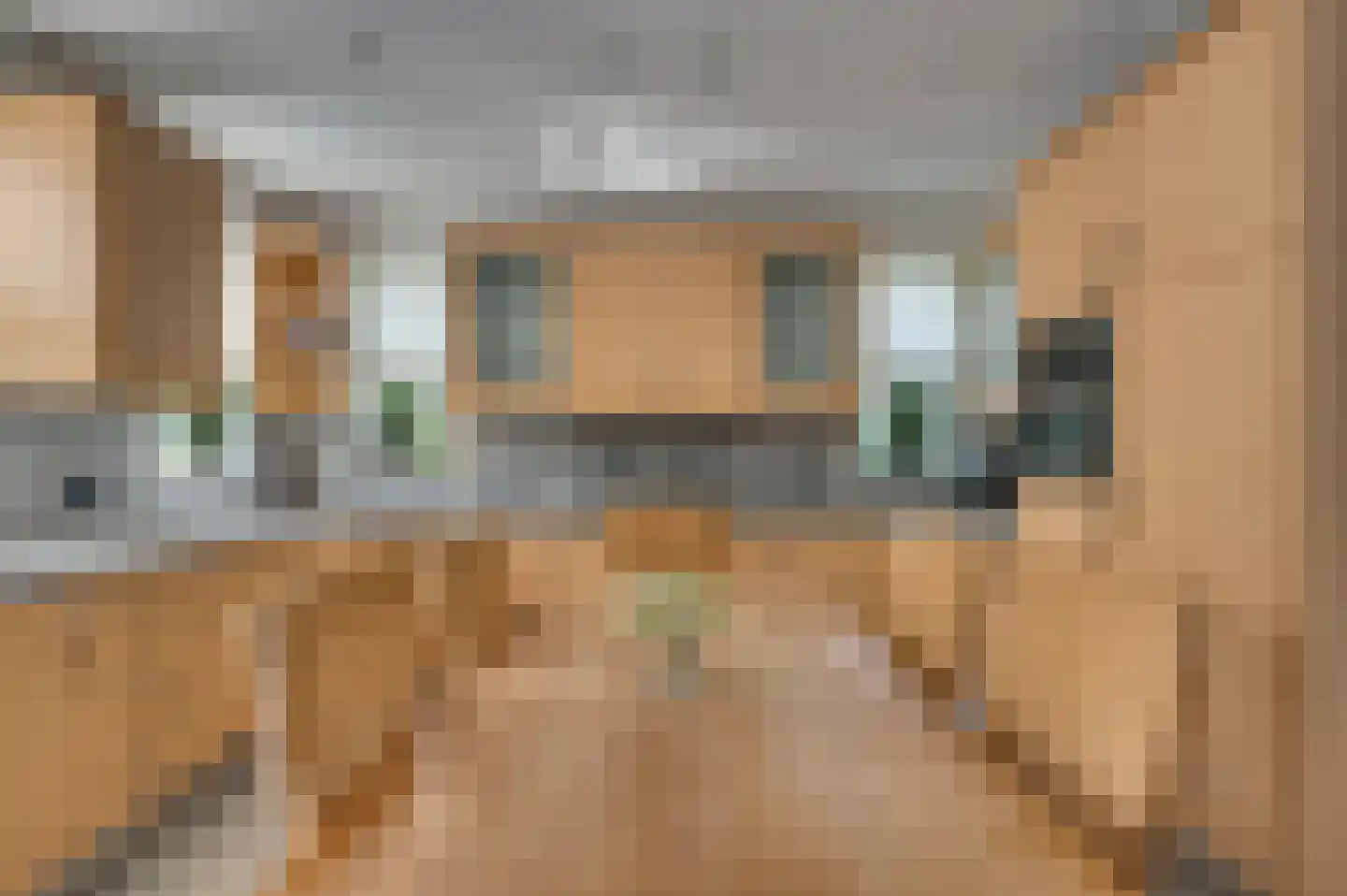 Paardebloem 1 Venlo thumbnail 19