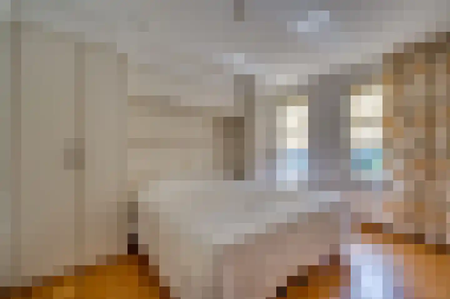 Paardebloem 1 Venlo thumbnail 24