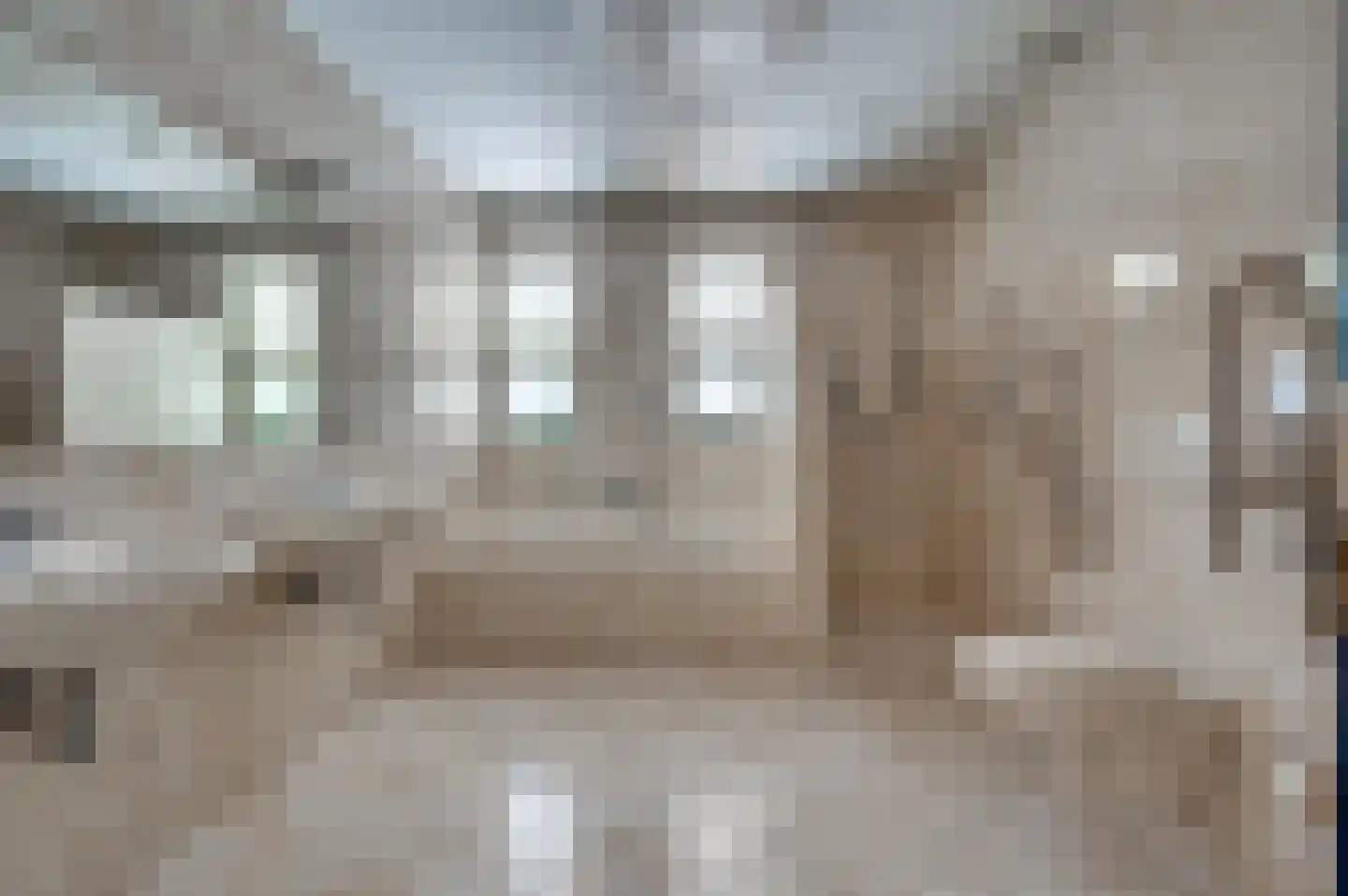 Paardebloem 1 Venlo thumbnail 27