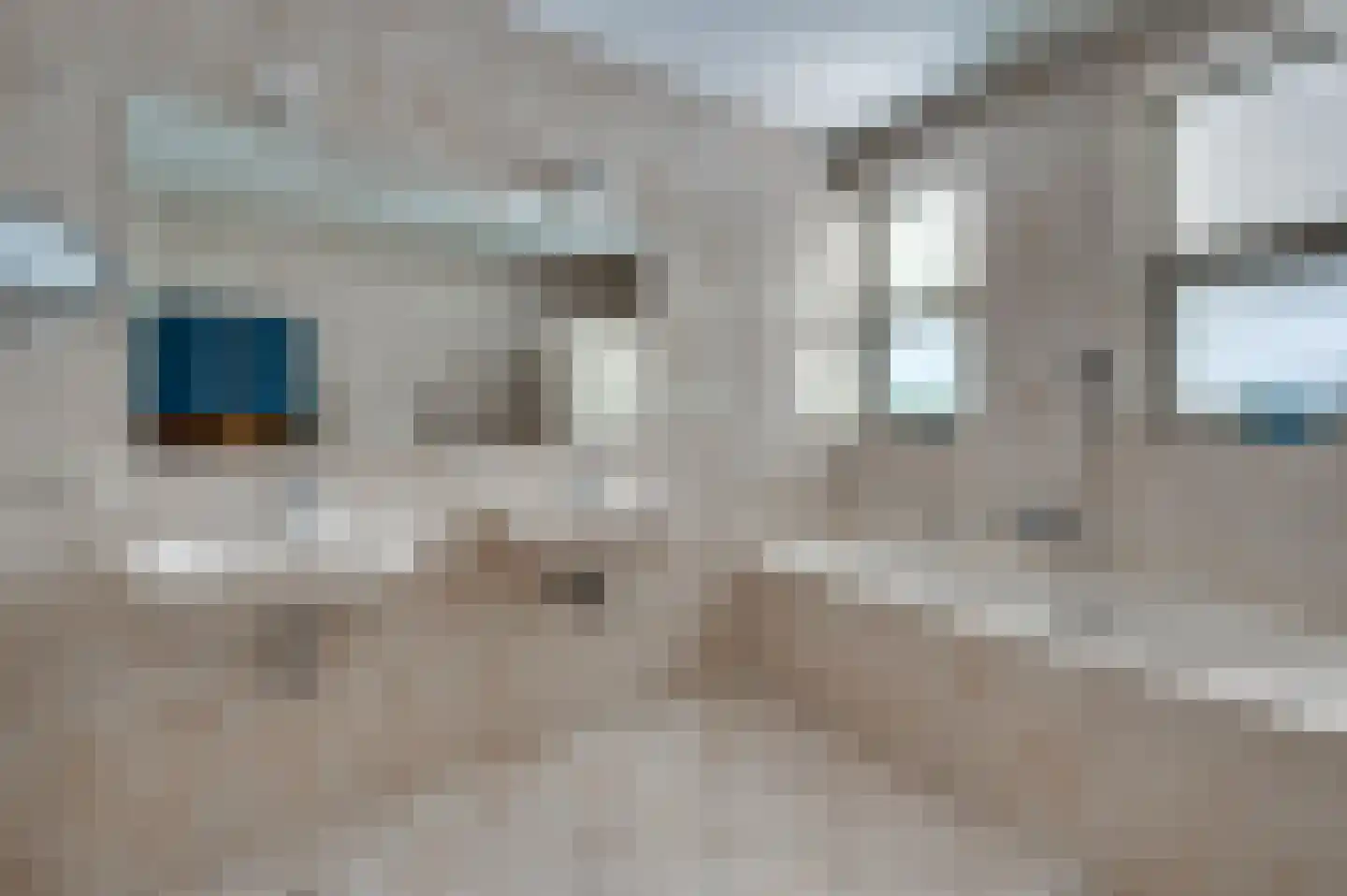 Paardebloem 1 Venlo thumbnail 28