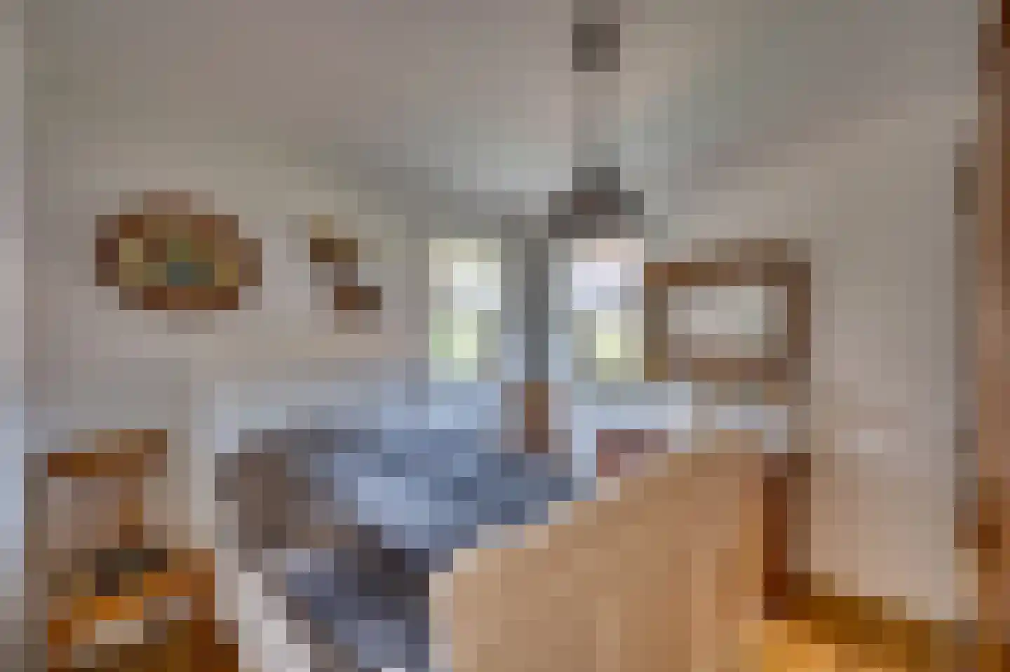 Paardebloem 1 Venlo thumbnail 30