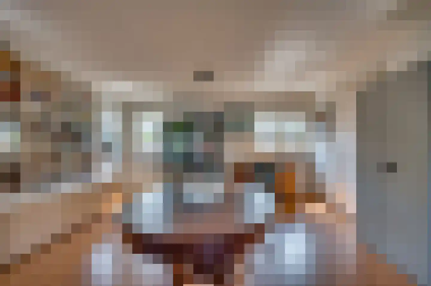 Paardebloem 1 Venlo thumbnail 36