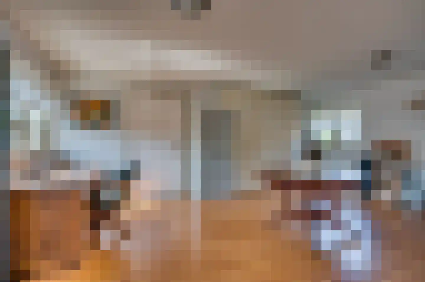 Paardebloem 1 Venlo thumbnail 37