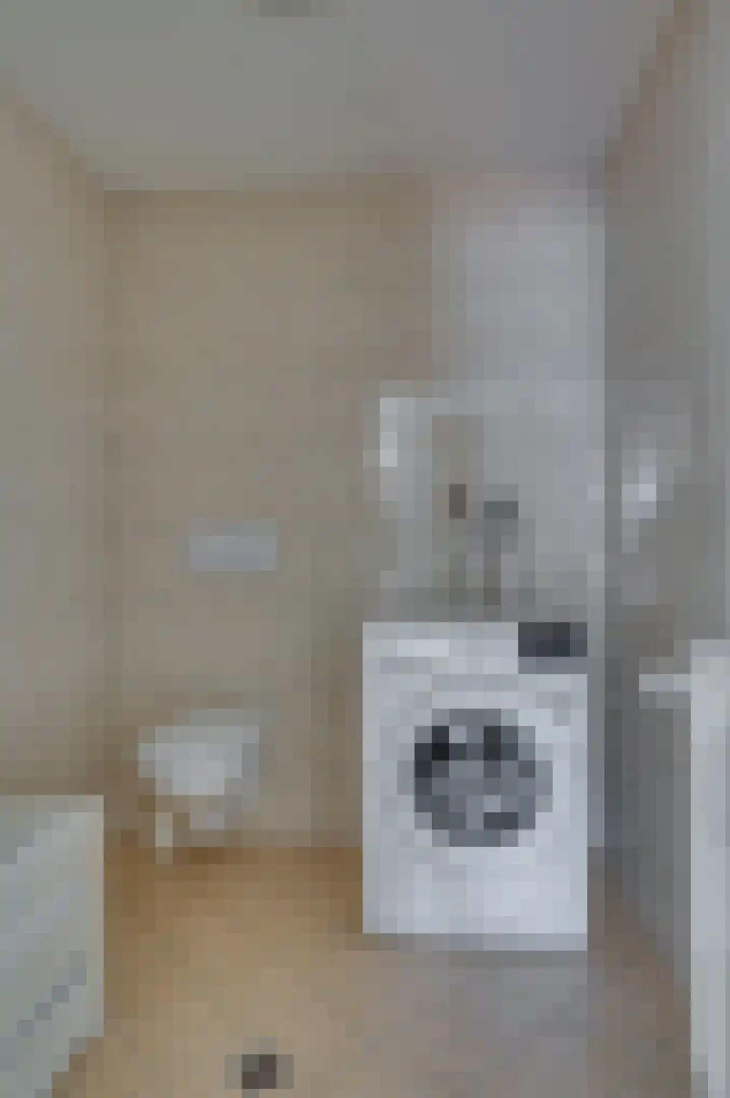 Paardebloem 1 Venlo thumbnail 38