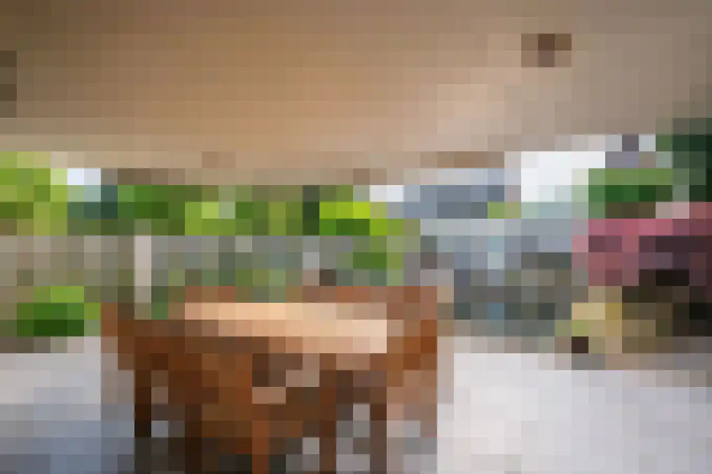 Paardebloem 1 Venlo thumbnail 41