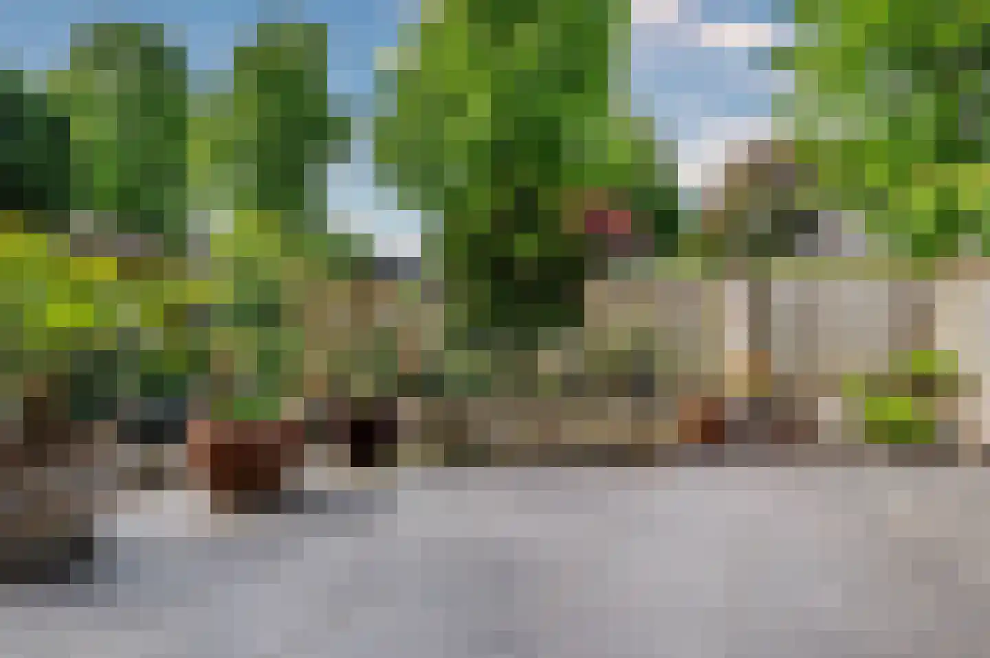 Paardebloem 1 Venlo thumbnail 42