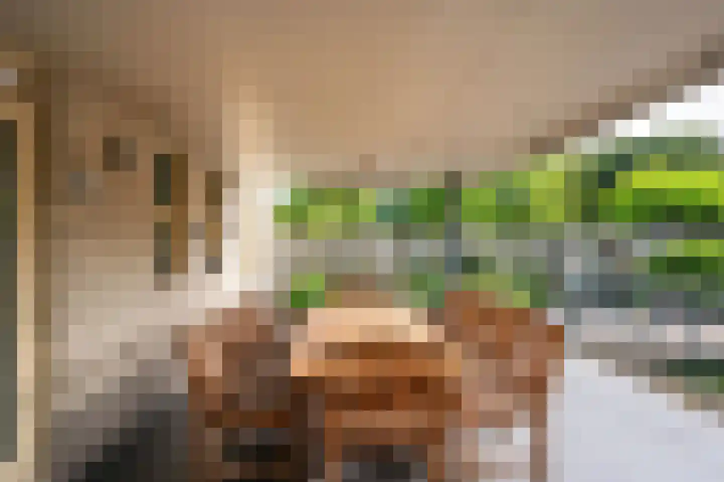 Paardebloem 1 Venlo thumbnail 43