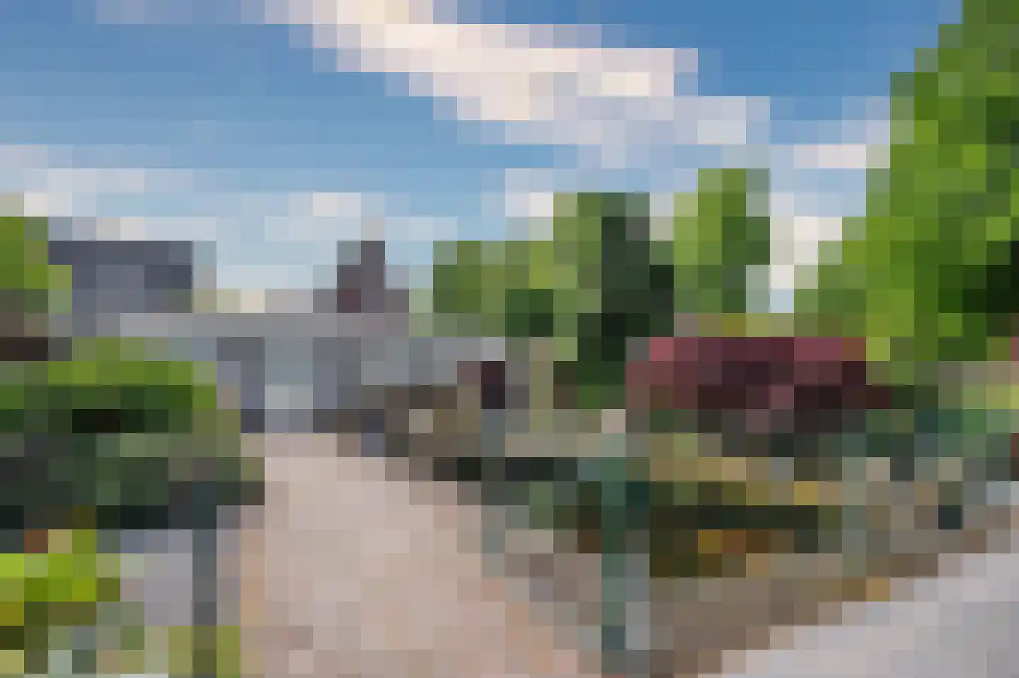 Paardebloem 1 Venlo thumbnail 44