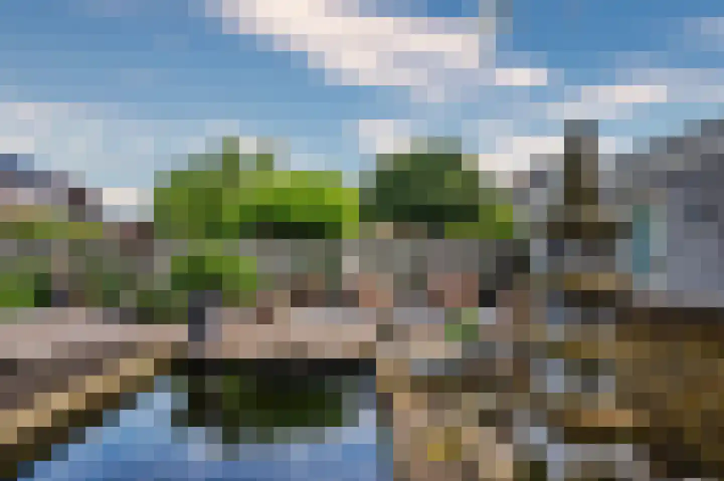 Paardebloem 1 Venlo thumbnail 45