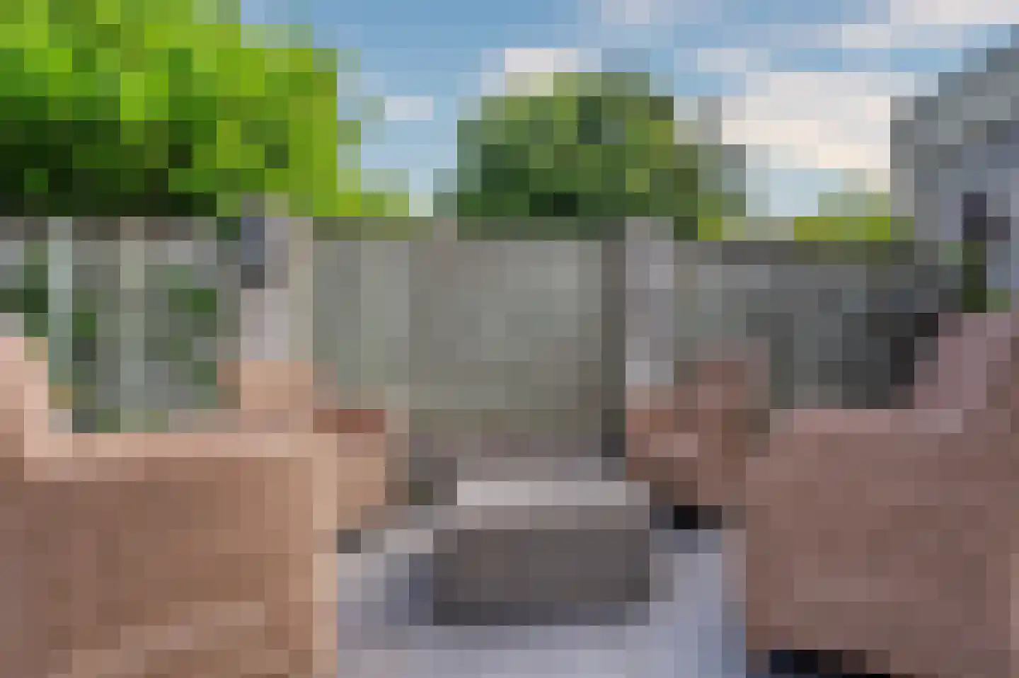 Paardebloem 1 Venlo thumbnail 46