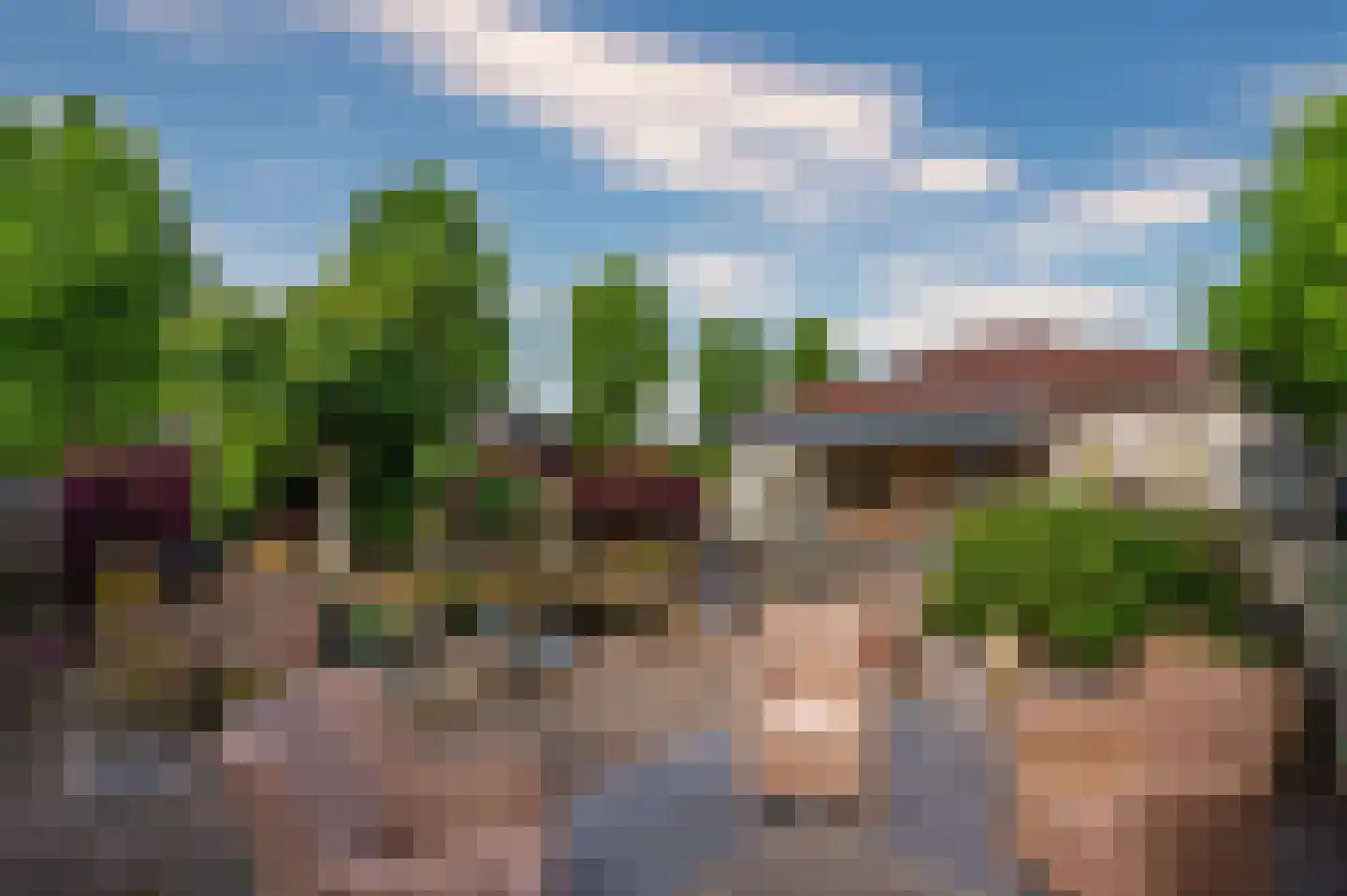 Paardebloem 1 Venlo thumbnail 47