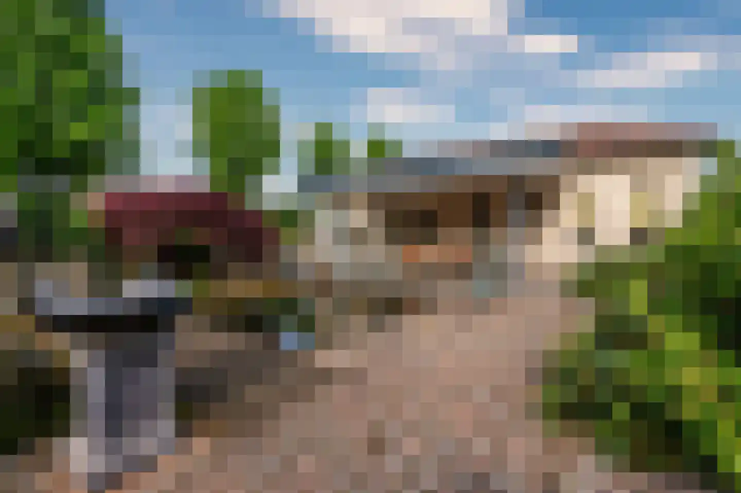 Paardebloem 1 Venlo thumbnail 48