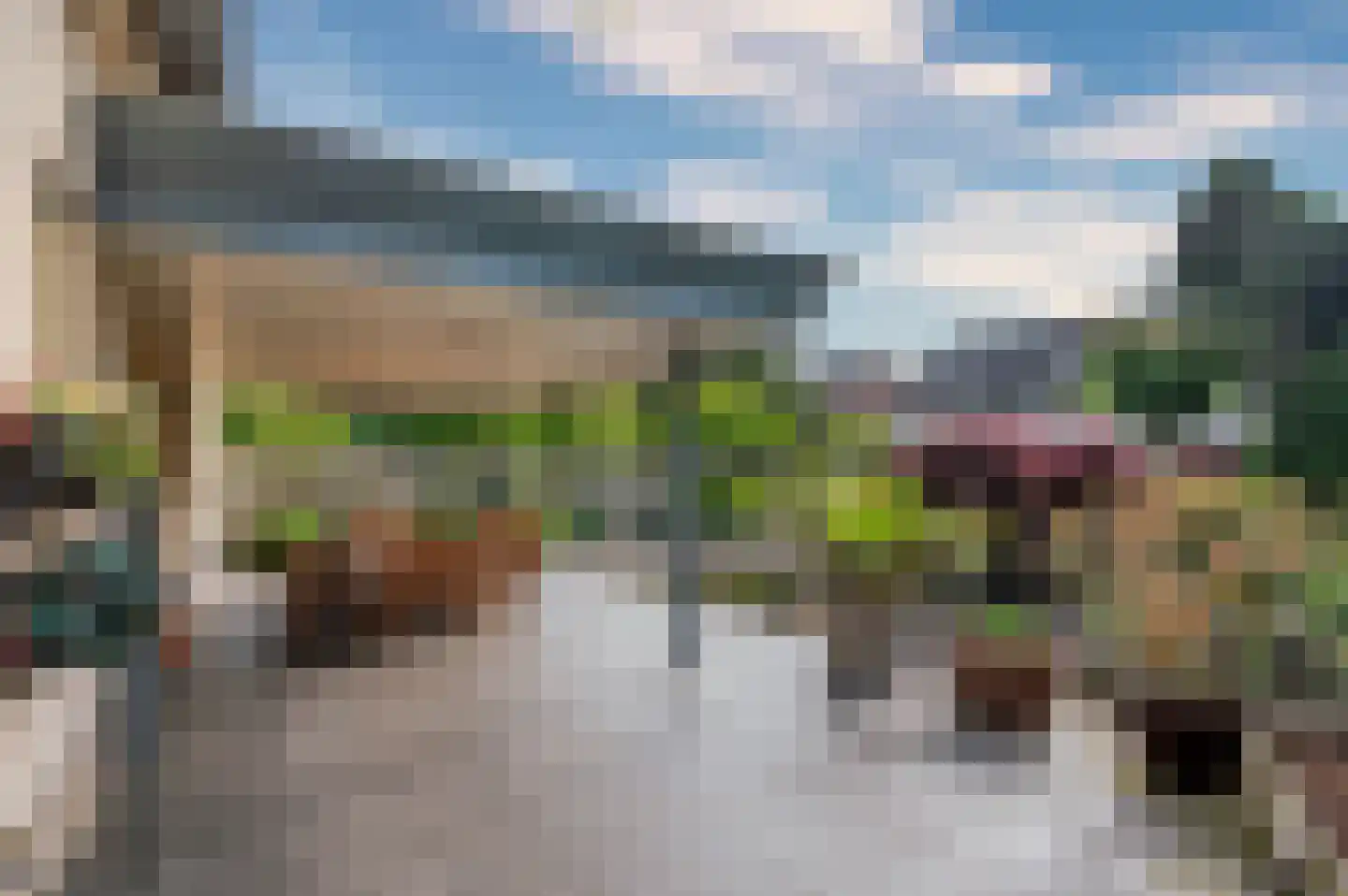 Paardebloem 1 Venlo thumbnail 50