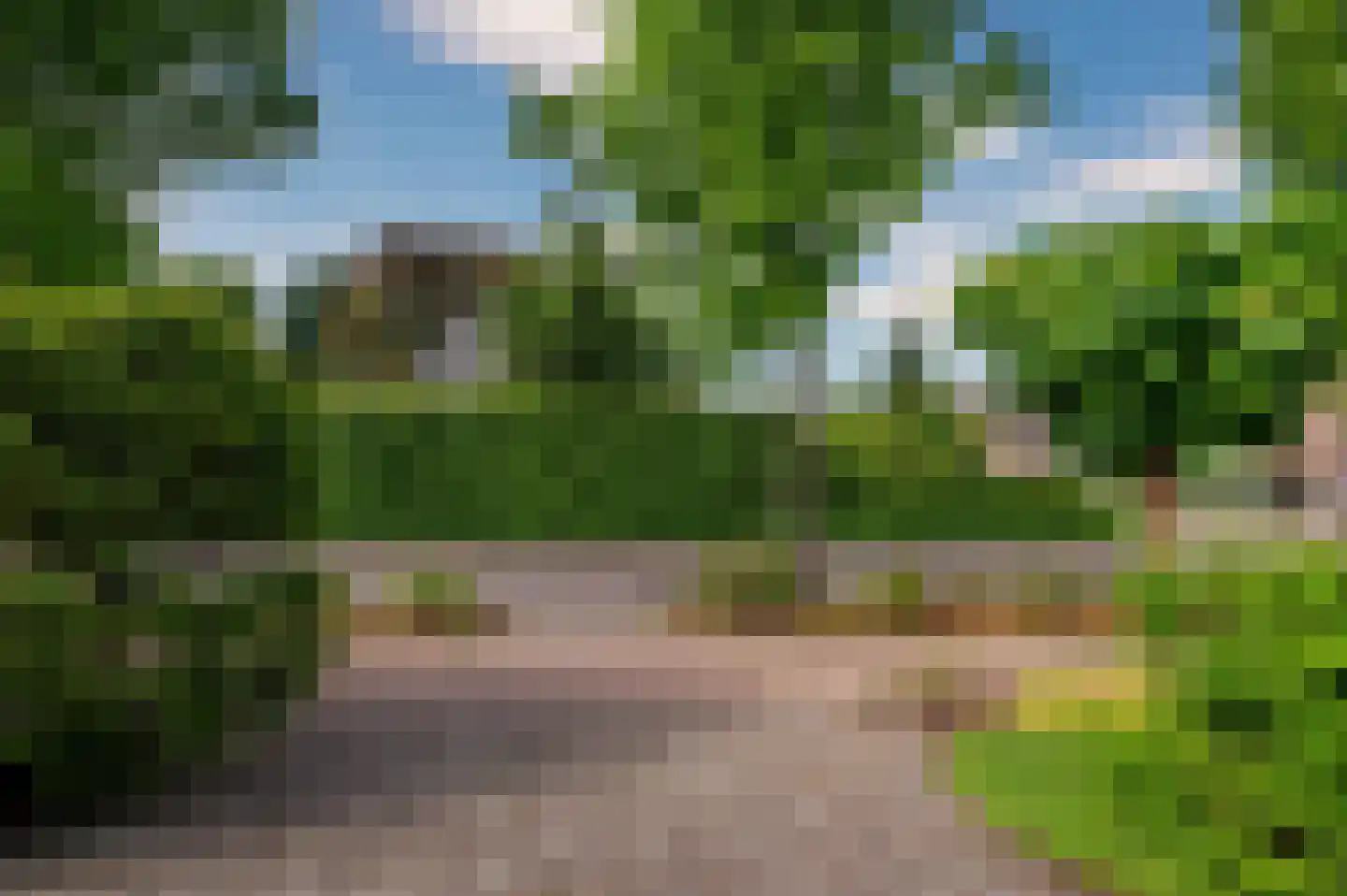 Paardebloem 1 Venlo thumbnail 51