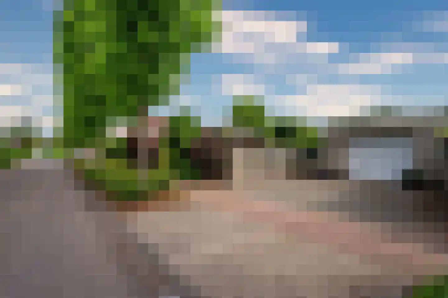 Paardebloem 1 Venlo thumbnail 52