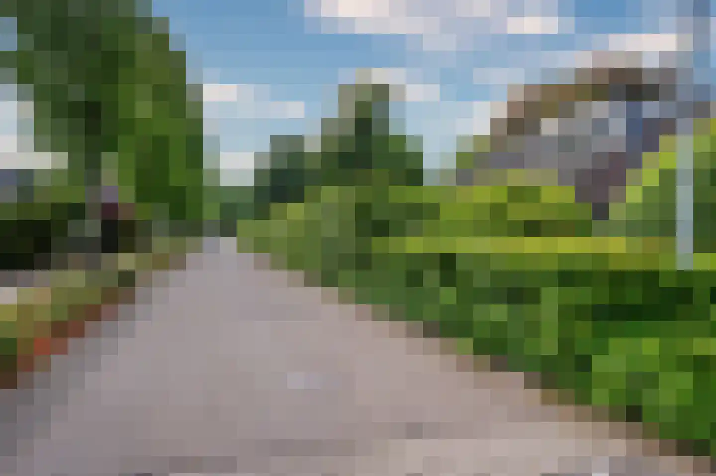 Paardebloem 1 Venlo thumbnail 53