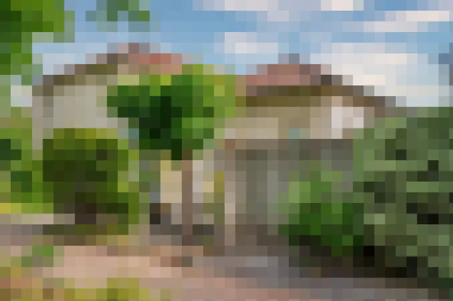 Paardebloem 1 Venlo thumbnail 54