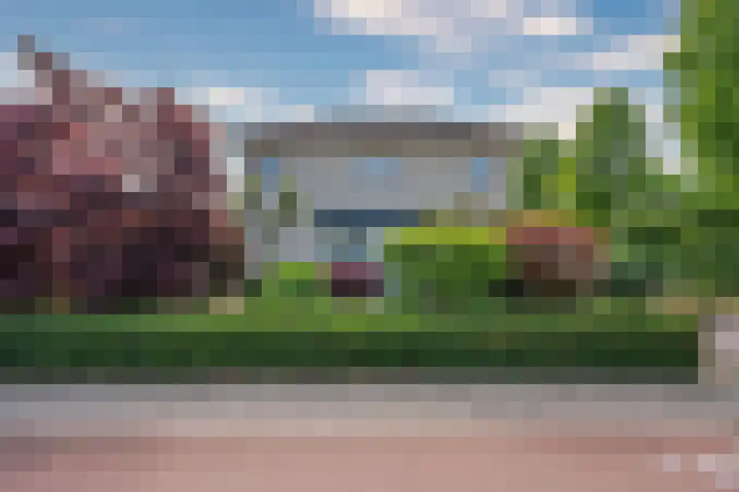 Paardebloem 1 Venlo thumbnail 55