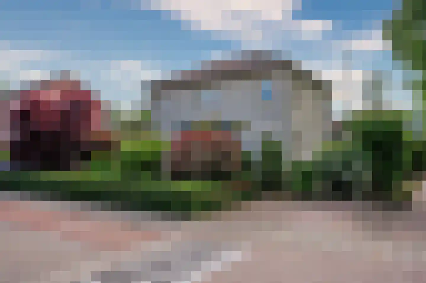 Paardebloem 1 Venlo thumbnail 56