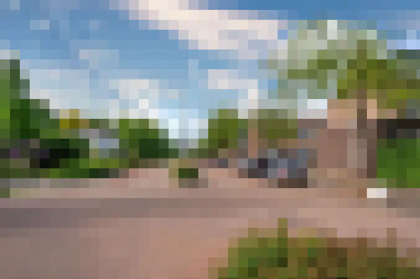 Paardebloem 1 Venlo thumbnail 57