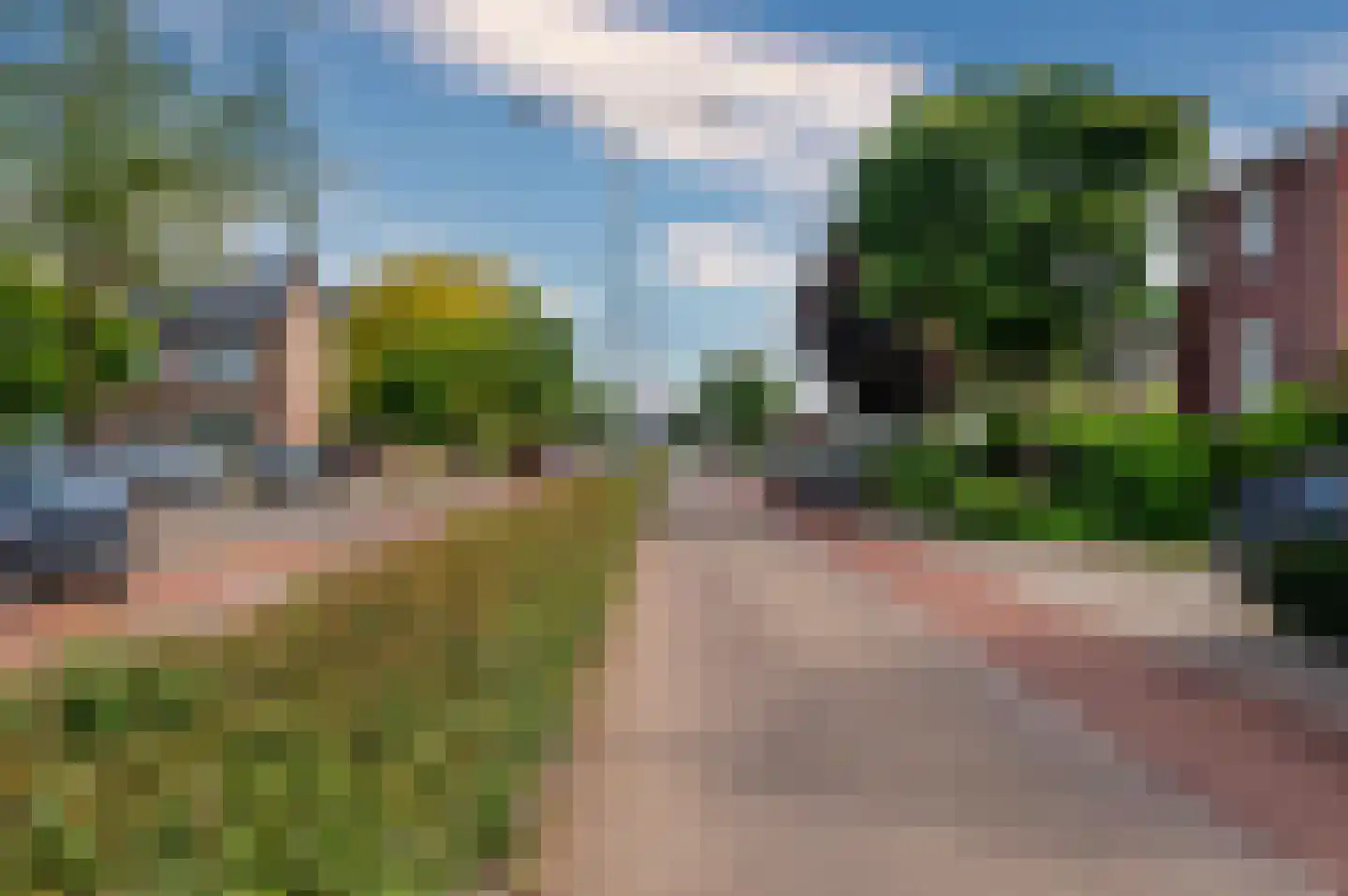 Paardebloem 1 Venlo thumbnail 58