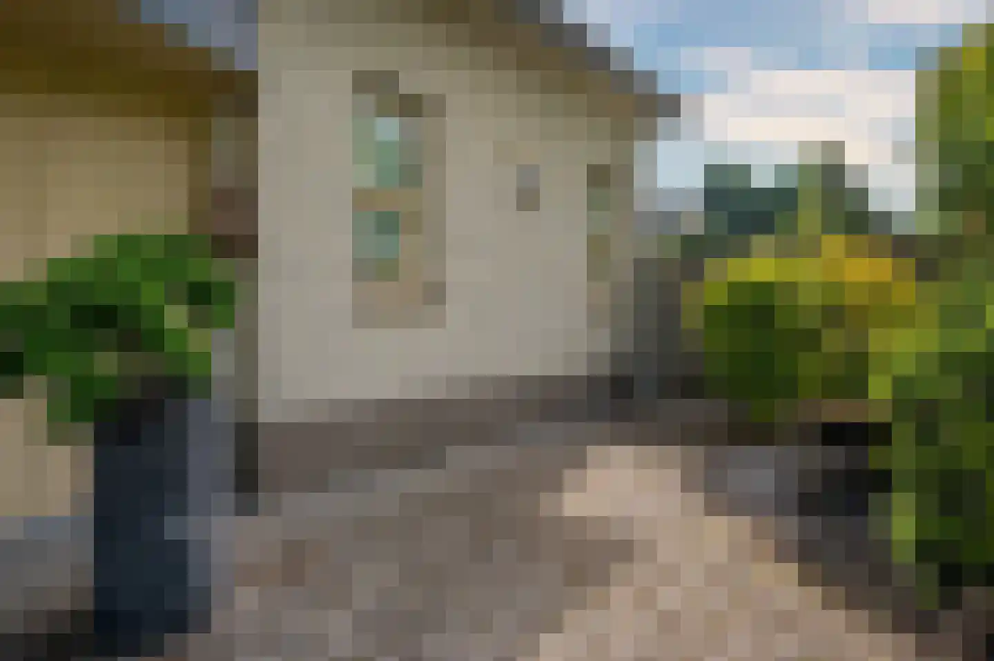 Paardebloem 1 Venlo thumbnail 60