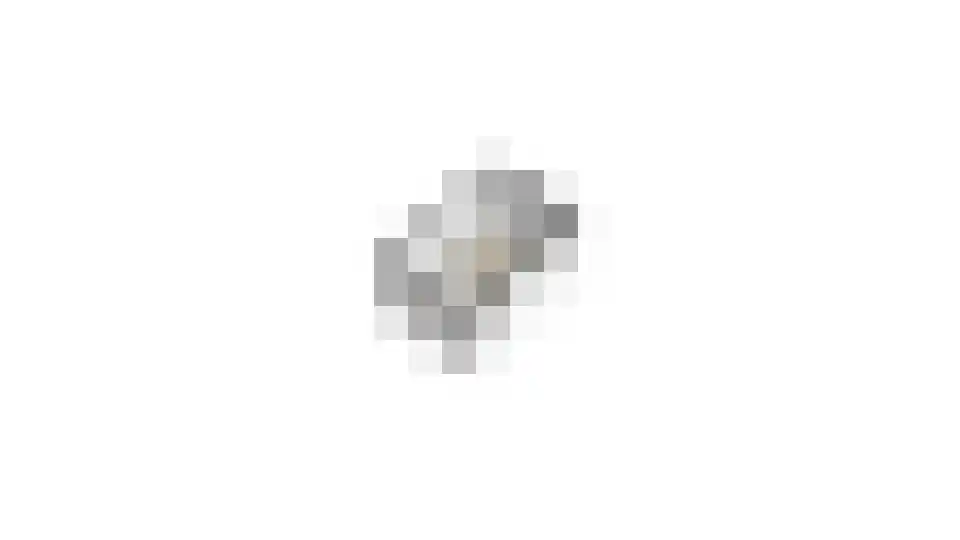 Paardebloem 1 Venlo thumbnail 66