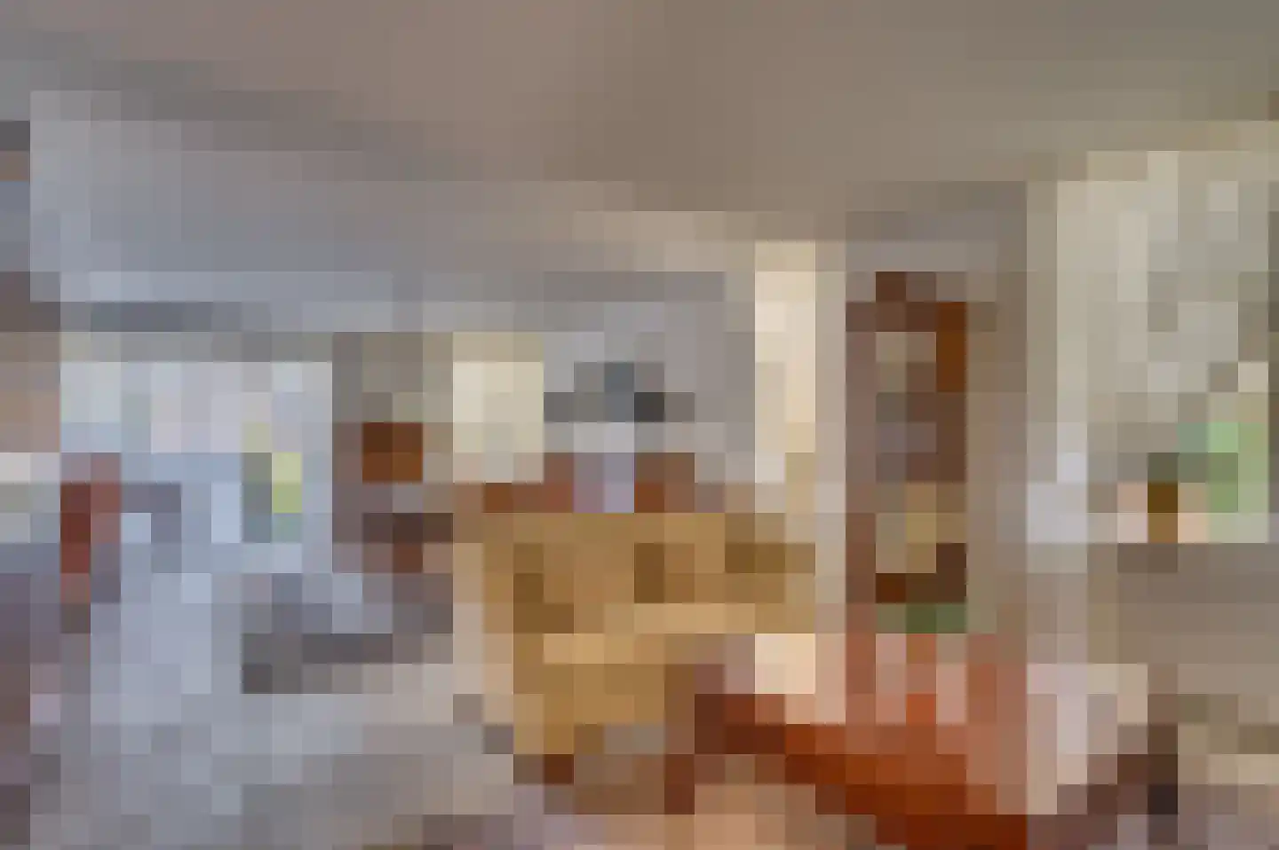 Paardebloem 1 Venlo thumbnail 7