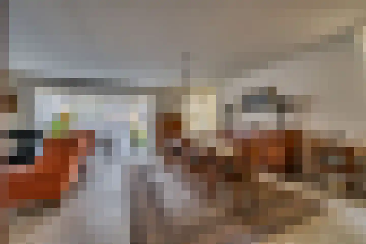 Paardebloem 1 Venlo thumbnail 8