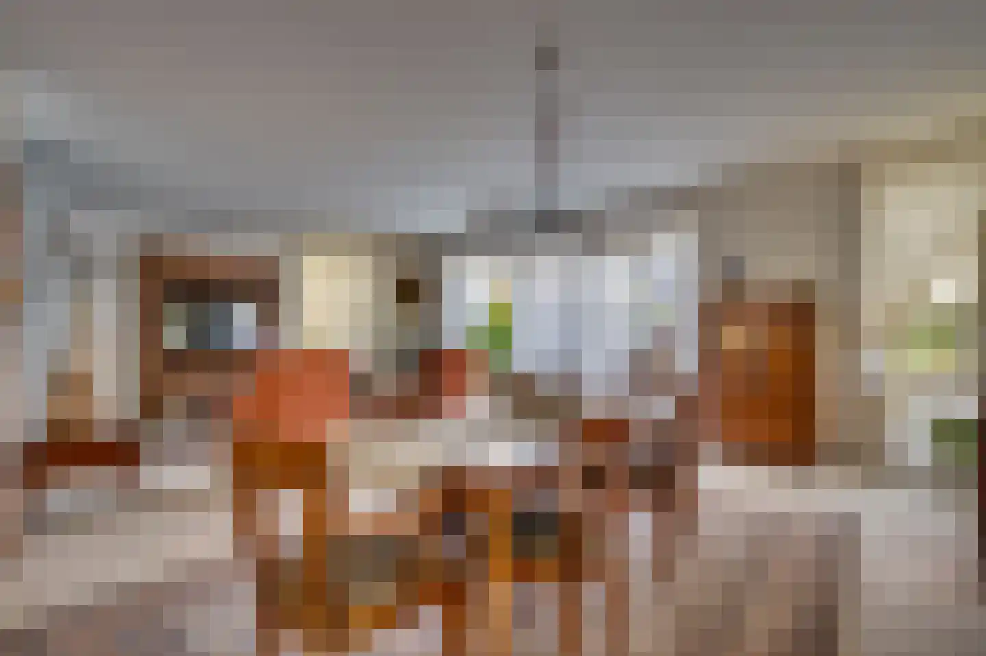 Paardebloem 1 Venlo thumbnail 9