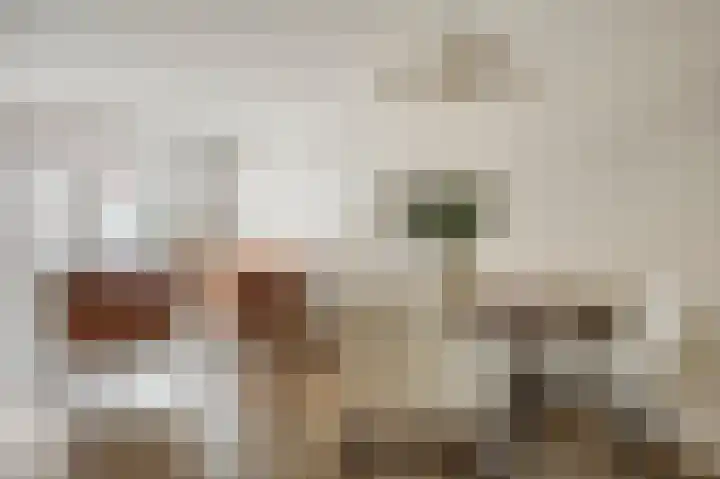 Paardebloem 10 Rijnsburg thumbnail 12