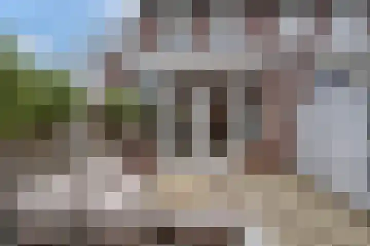 Paardebloem 10 Rijnsburg thumbnail 31