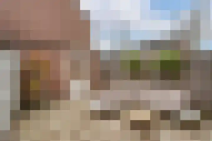 Paardebloem 10 Rijnsburg thumbnail 32