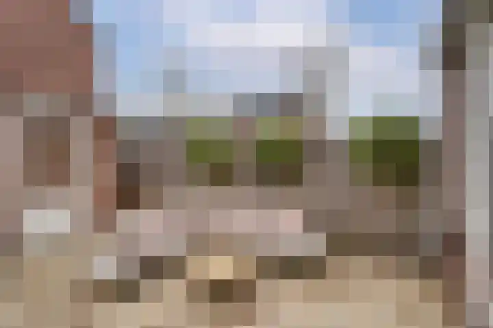 Paardebloem 10 Rijnsburg thumbnail 33